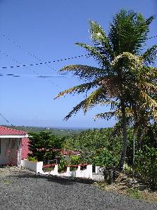 house1